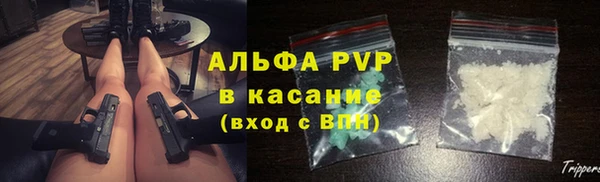 бошки Тайга