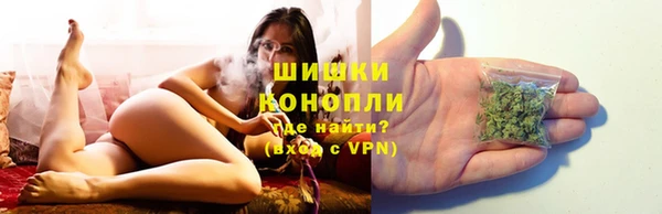 молекула духа Аркадак